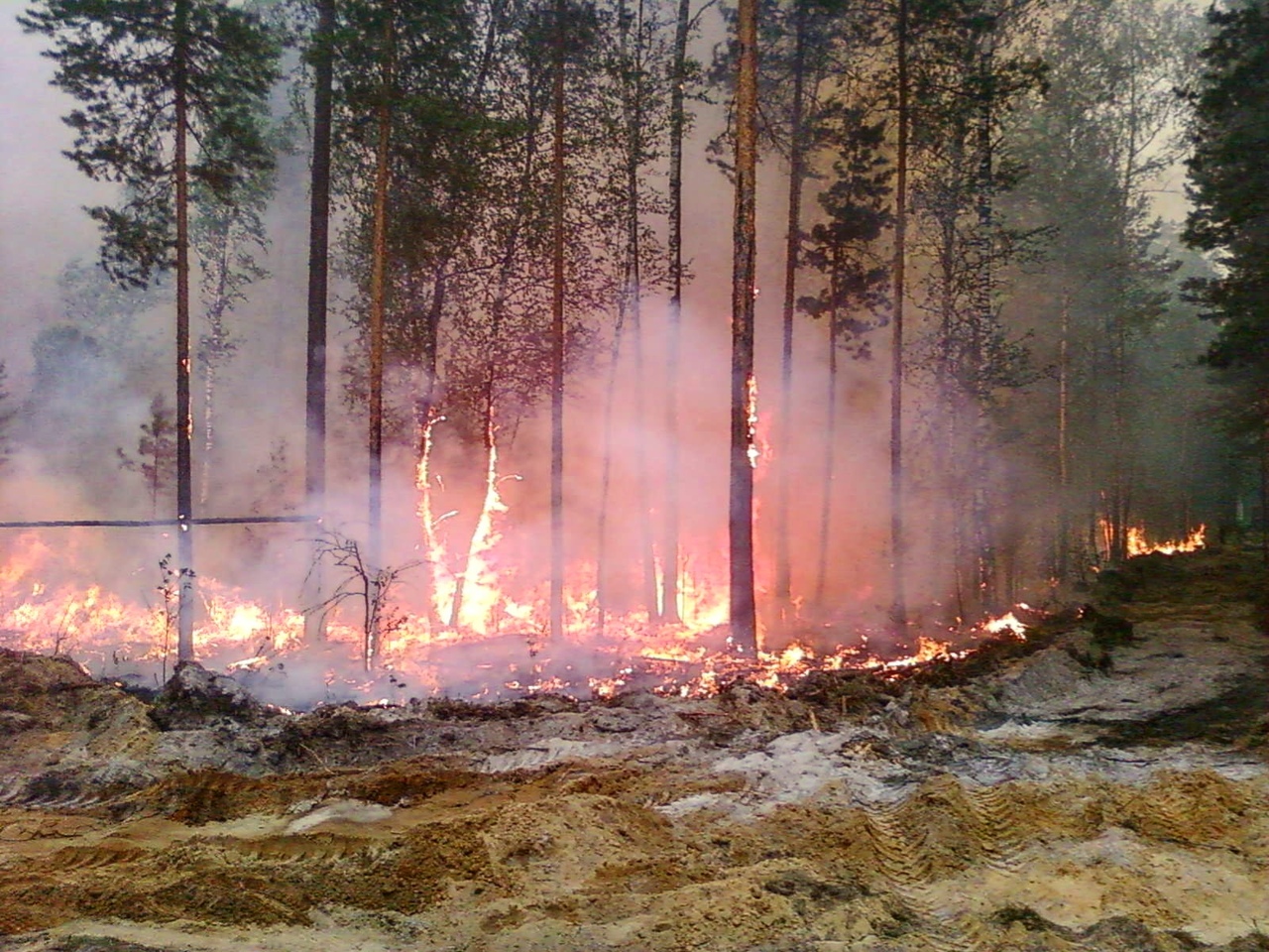 Пожар в лесах Марий Эл 2021